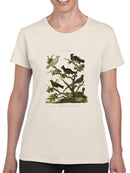 Ornithology Ii T-shirt -Sydenham Edwards Designs