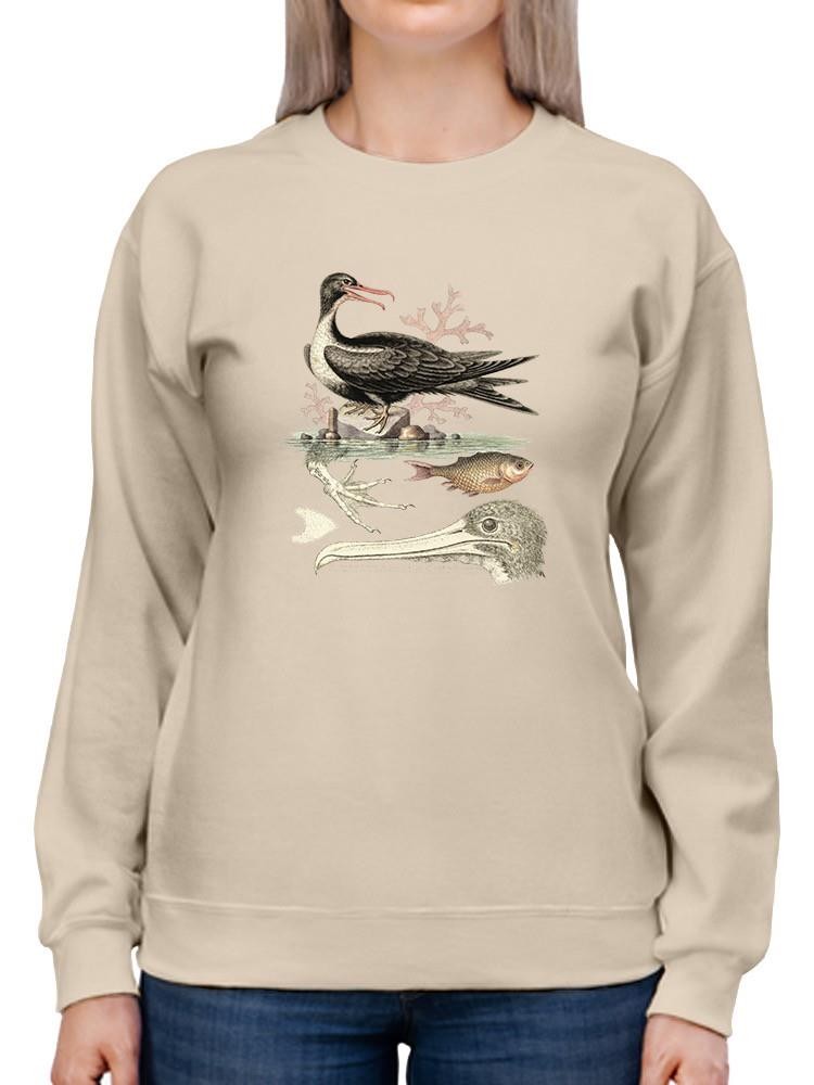 Aquatic Birds I Sweatshirt -Sydenham Edwards Designs