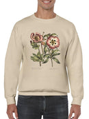 Framboise Floral Iv Sweatshirt -Sydenham Edwards Designs
