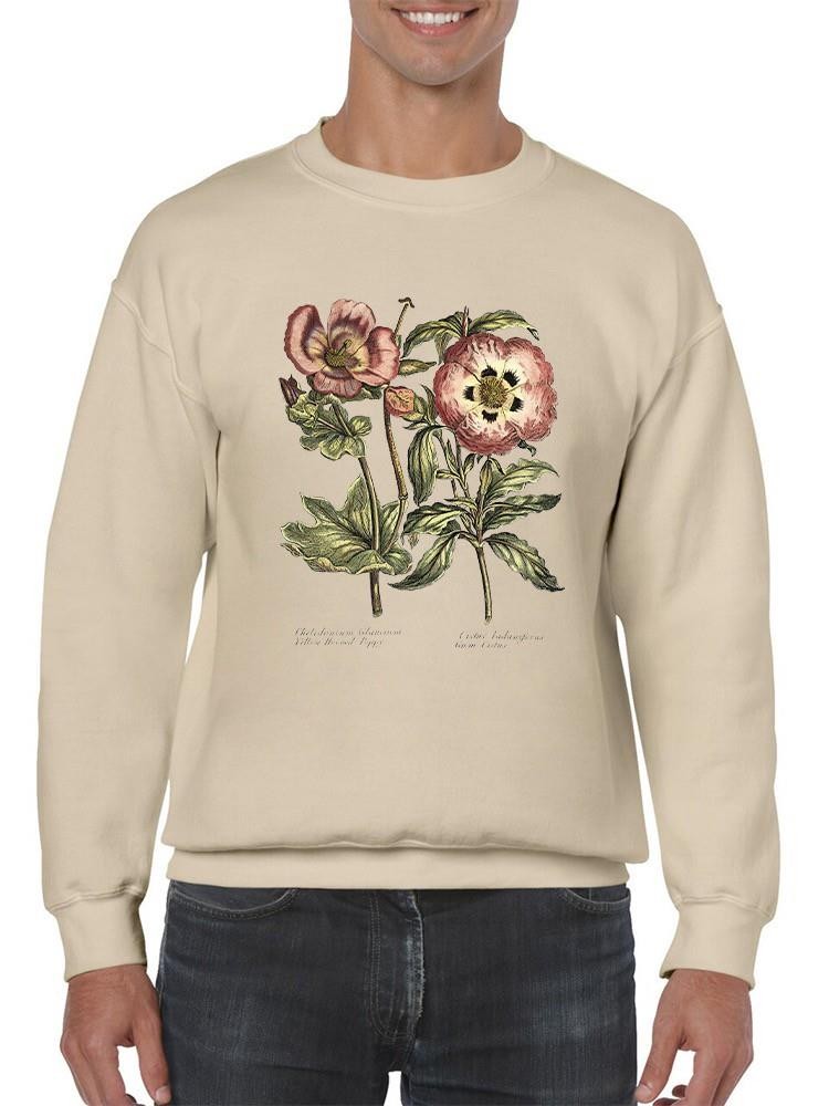 Framboise Floral Iv Sweatshirt -Sydenham Edwards Designs