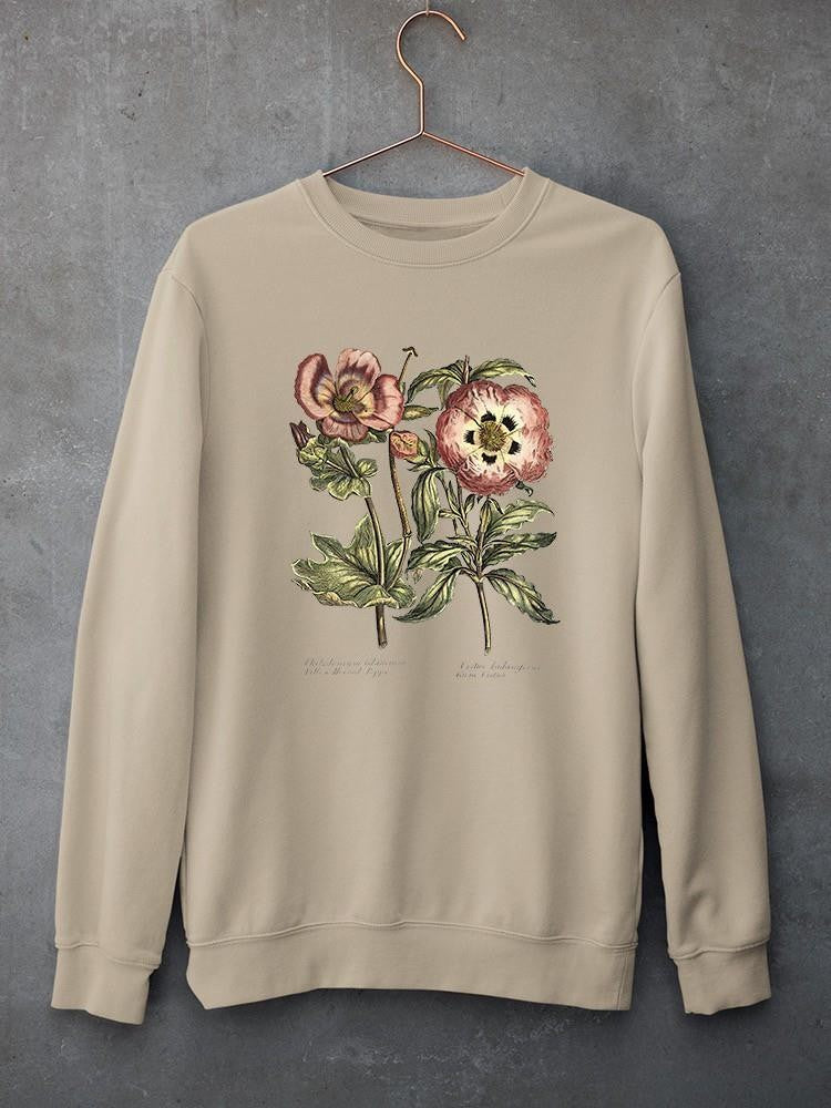 Framboise Floral Iv Sweatshirt -Sydenham Edwards Designs