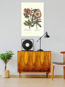 Framboise Floral Iv Wall Art -Sydenham Edwards Designs