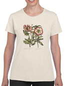 Framboise Floral Iv T-shirt -Sydenham Edwards Designs