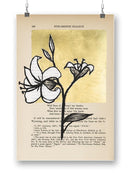 Floral Diary Iv Wall Art -Vanna Lam Designs