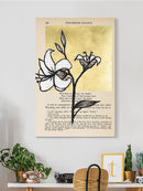 Floral Diary Iv Wall Art -Vanna Lam Designs