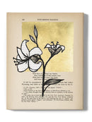 Floral Diary Iv Wall Art -Vanna Lam Designs