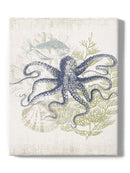 Coastal Ephemera Wall Art -Victoria Barnes Designs