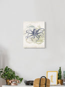 Coastal Ephemera Wall Art -Victoria Barnes Designs