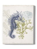 Coastal Ephemera Iv Wall Art -Victoria Barnes Designs