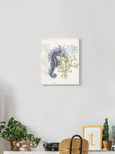 Coastal Ephemera Iv Wall Art -Victoria Barnes Designs