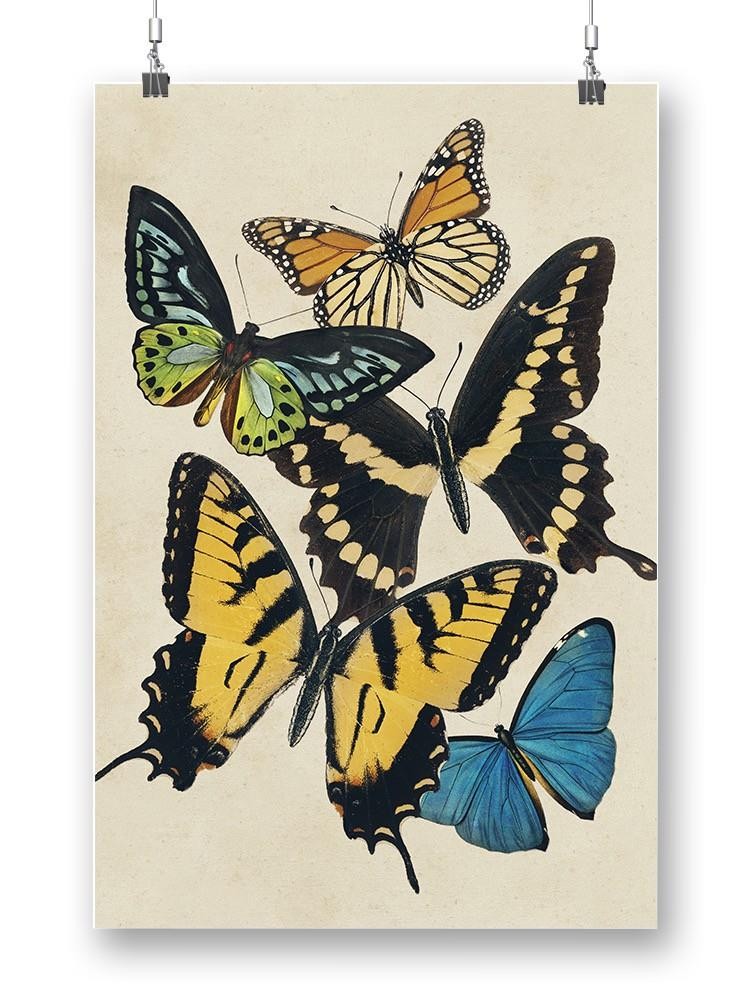 Butterfly Collage Wall Art -Victoria Barnes Designs