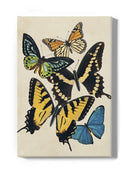 Butterfly Collage Wall Art -Victoria Barnes Designs