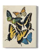 Butterfly Collage Wall Art -Victoria Barnes Designs