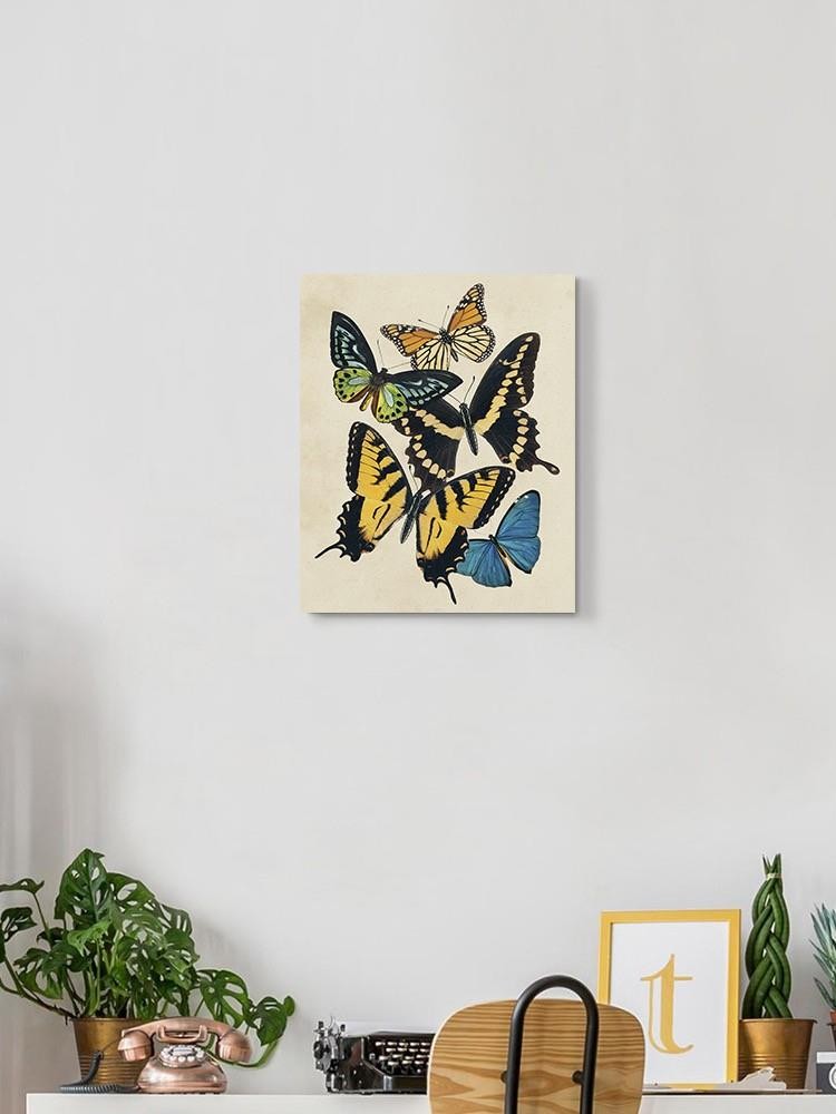 Butterfly Collage Wall Art -Victoria Barnes Designs