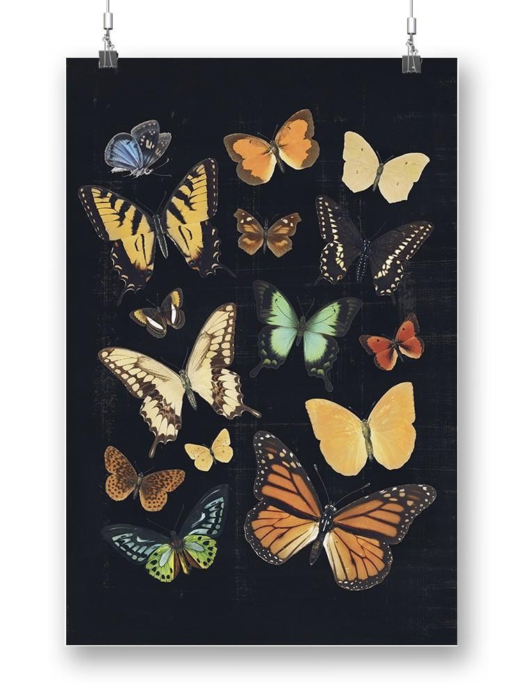 Collected Flutter Iii Wall Art -Victoria Barnes Designs