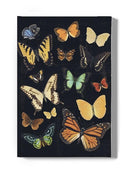 Collected Flutter Iii Wall Art -Victoria Barnes Designs