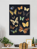 Collected Flutter Iii Wall Art -Victoria Barnes Designs