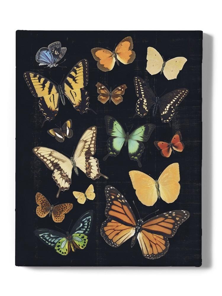 Collected Flutter Iii Wall Art -Victoria Barnes Designs