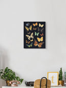 Collected Flutter Iii Wall Art -Victoria Barnes Designs