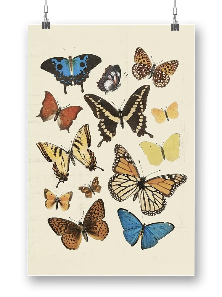 Collected Flutter Ii Wall Art -Victoria Barnes Designs