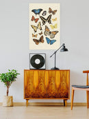 Collected Flutter Ii Wall Art -Victoria Barnes Designs