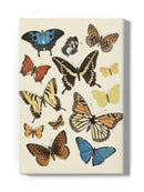 Collected Flutter Ii Wall Art -Victoria Barnes Designs