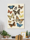 Collected Flutter Ii Wall Art -Victoria Barnes Designs