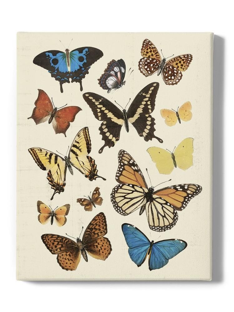 Collected Flutter Ii Wall Art -Victoria Barnes Designs