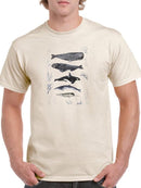 Whale Chart Collection B T-shirt -Victoria Barnes Designs