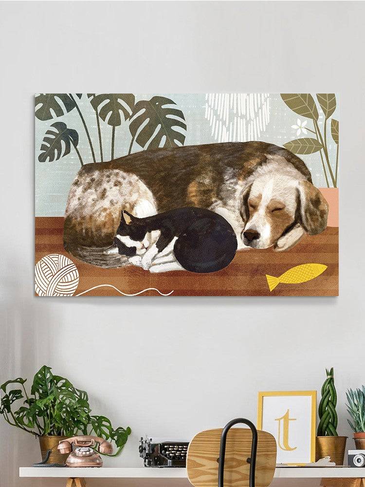 Sleeping Cat And Dog Wall Art -Victoria Borges Designs