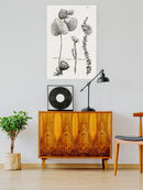 Protea On Linen Ii Wall Art -Vision Studio Designs