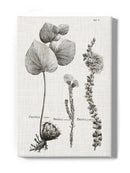 Protea On Linen Ii Wall Art -Vision Studio Designs