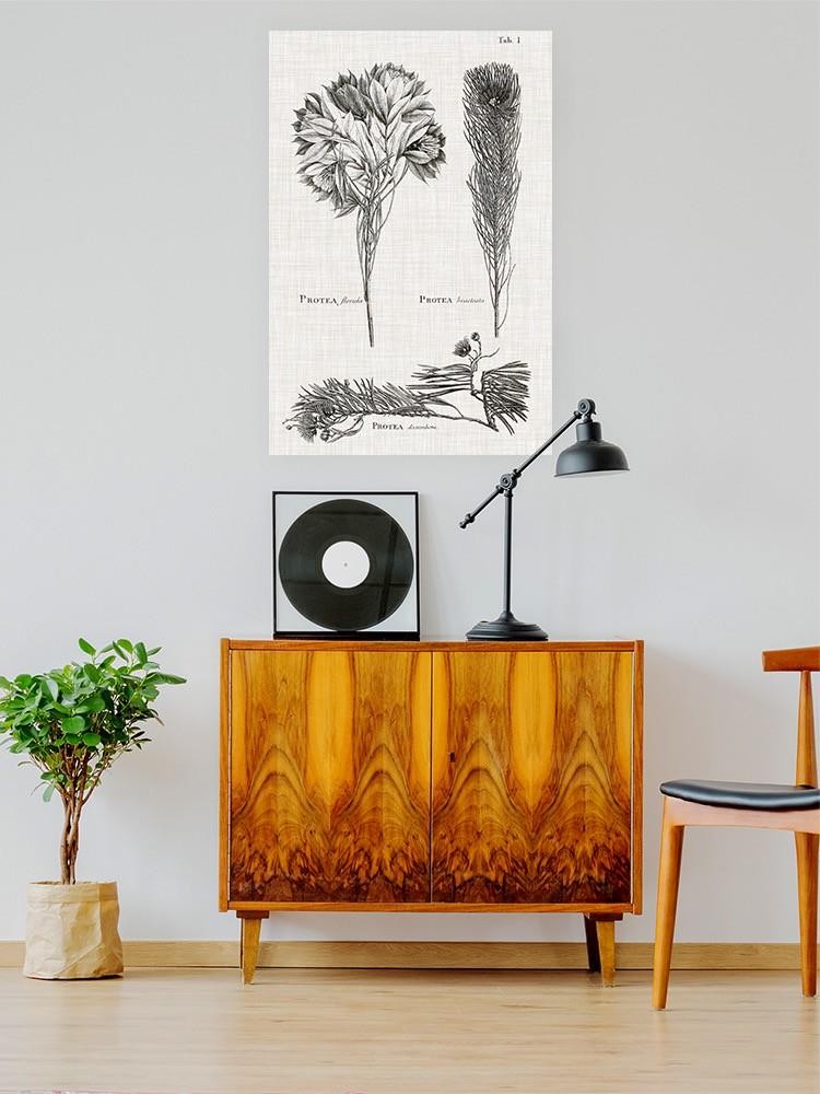 Protea On Linen I Wall Art -Vision Studio Designs