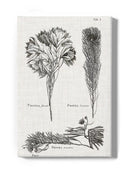 Protea On Linen I Wall Art -Vision Studio Designs