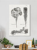 Protea On Linen I Wall Art -Vision Studio Designs