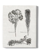 Protea On Linen I Wall Art -Vision Studio Designs