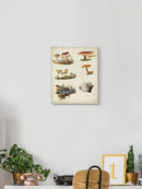Mushroom Species X Wall Art -Vision Studio Designs