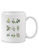 Soft Botanical. Chart Mug -Vision Studio Designs