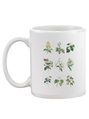 Soft Botanical. Chart Mug -Vision Studio Designs