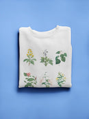 Soft Botanical Chart. Sweatshirt -Vision Studio Designs