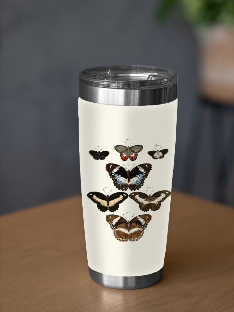 Vintage Butterflies Ii Tumbler -Vision Studio Designs