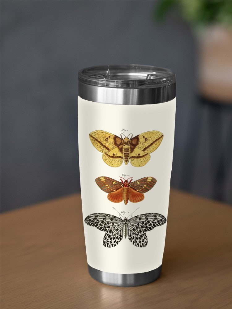 Vintage Butterflies Iv Tumbler -Vision Studio Designs