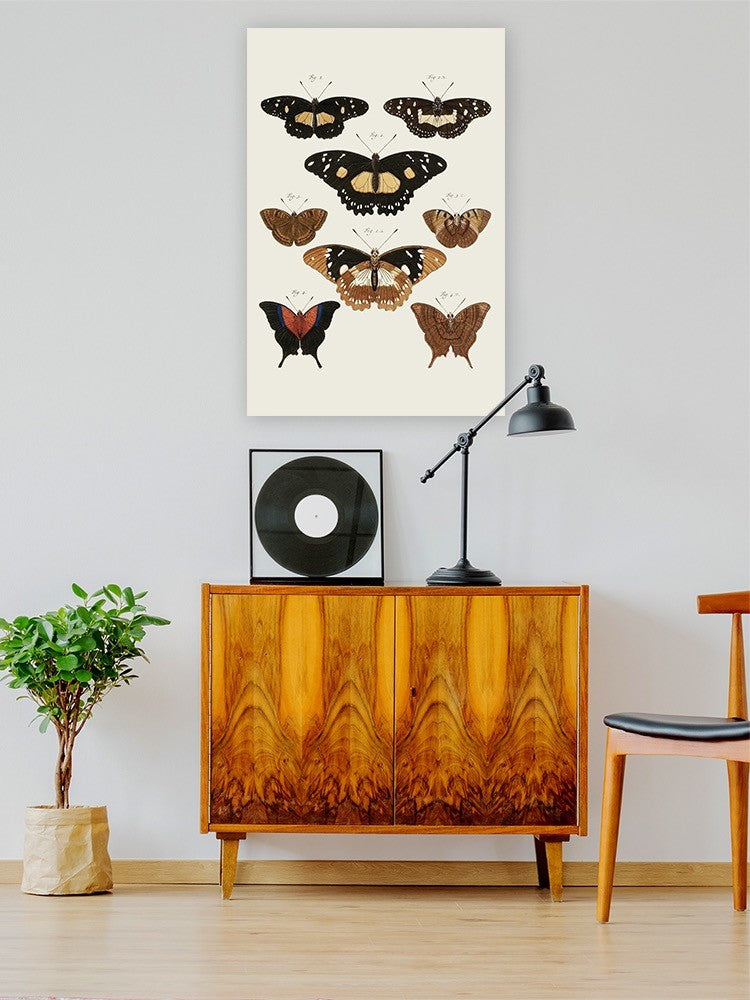 Vintage Butterflies V. Wall Art -Vision Studio Designs