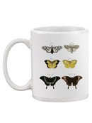 Vintage Butterflies Vi. Mug -Vision Studio Designs