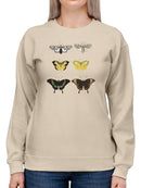 Vintage Butterflies Vi Sweatshirt -Vision Studio Designs