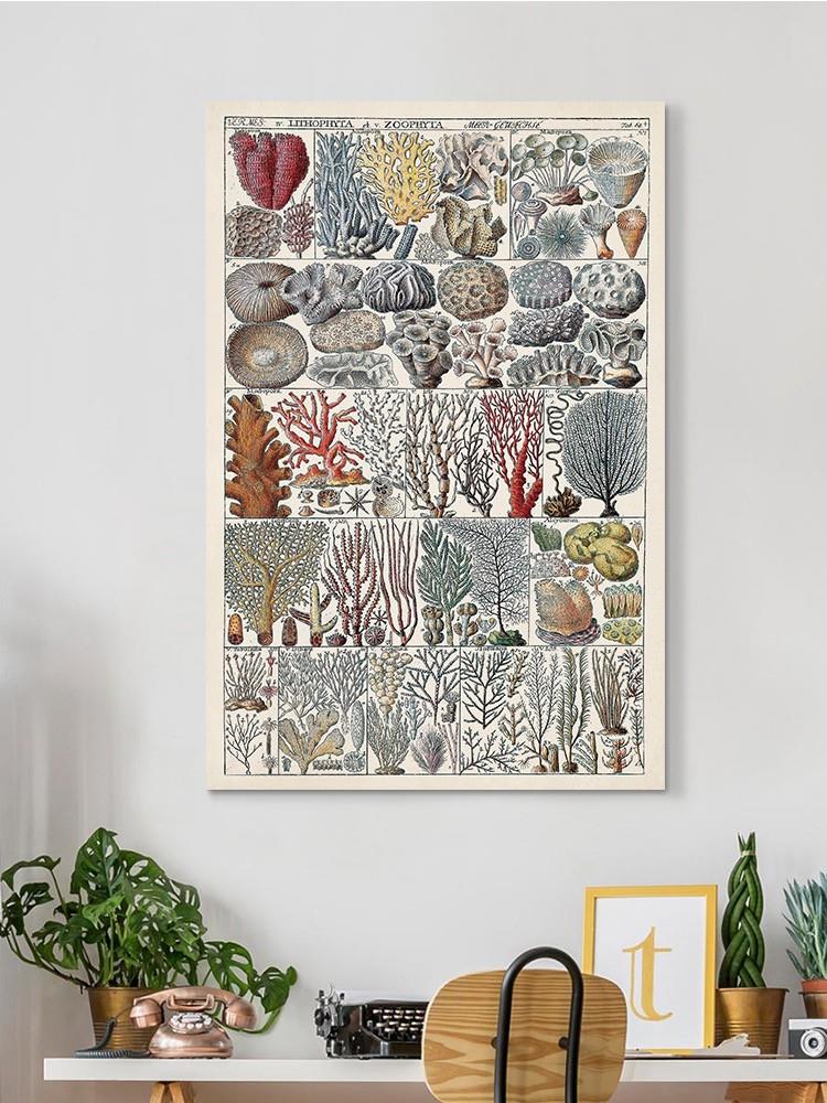 Coral Chart Wall Art -Vision Studio Designs