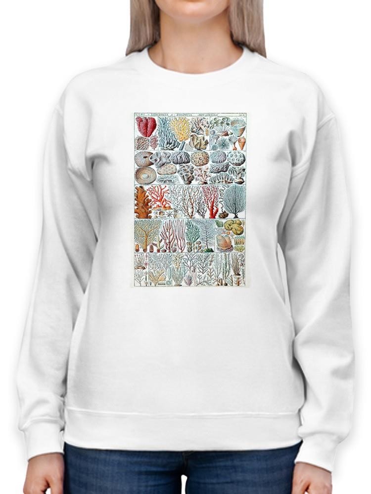Coral Charts Sweatshirt -Vision Studio Designs