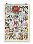 Floral Chart Wall Art -Vision Studio Designs