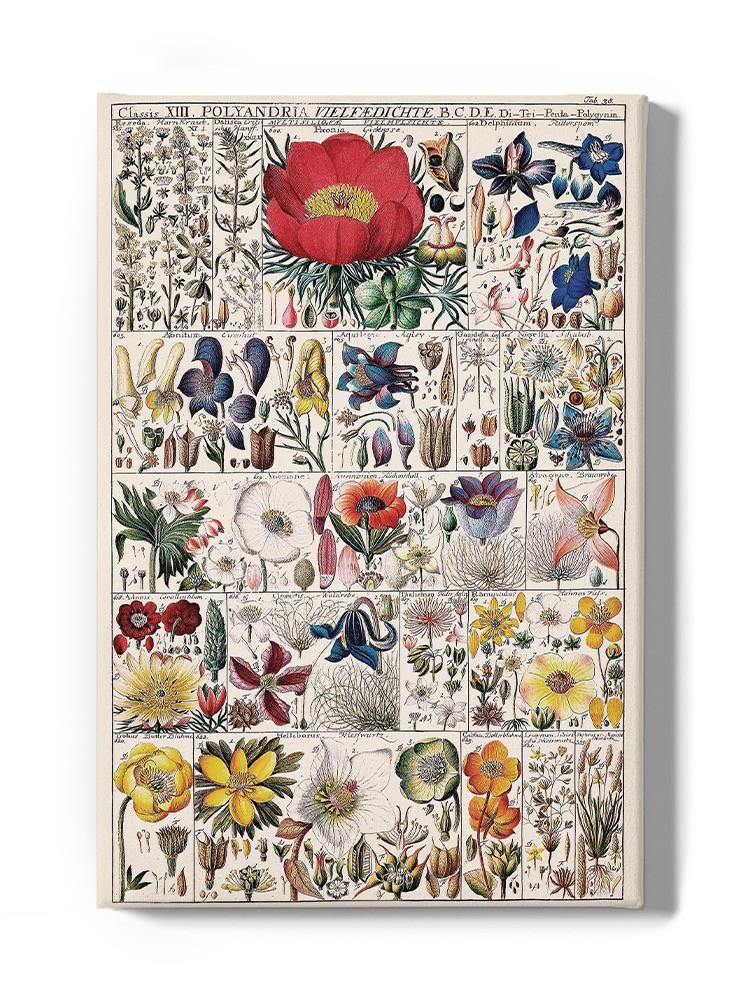 Floral Chart Wall Art -Vision Studio Designs
