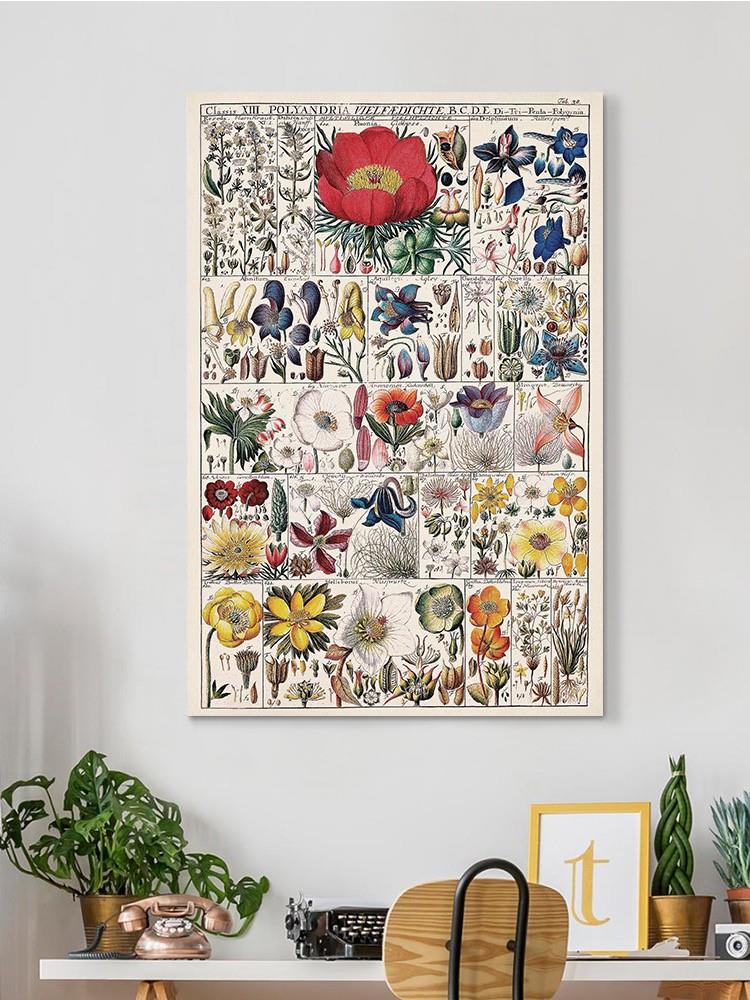 Floral Chart Wall Art -Vision Studio Designs